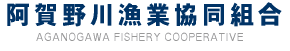 鮎釣り 稚魚放流と漁場を守る　阿賀野川漁業協同組合