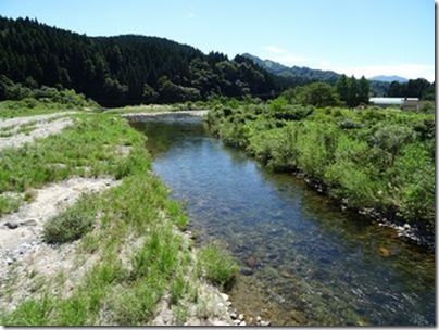 細越橋下流